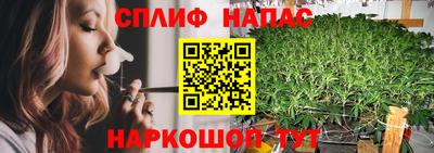 PSILOCYBIN Обнинск