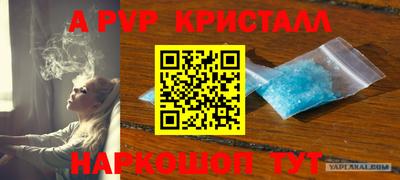 PSILOCYBIN Обнинск
