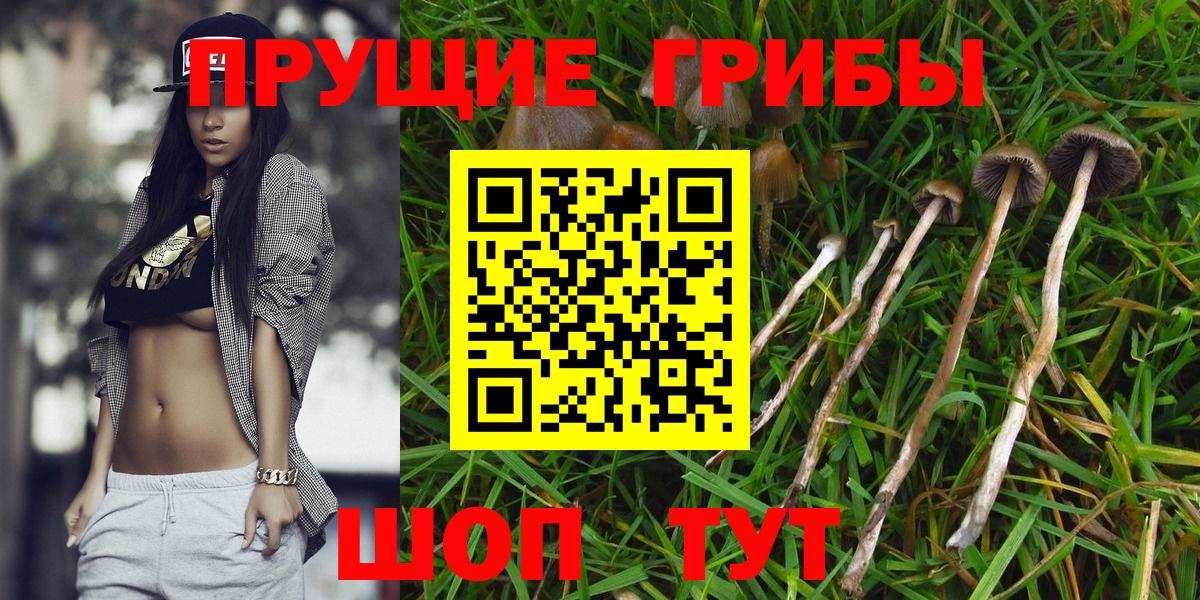 Химки  Галлюциногенные грибы ЛСД  магазин  наркотиков  Вход с VPN  Псилоцибиновые грибы прущие грибы 